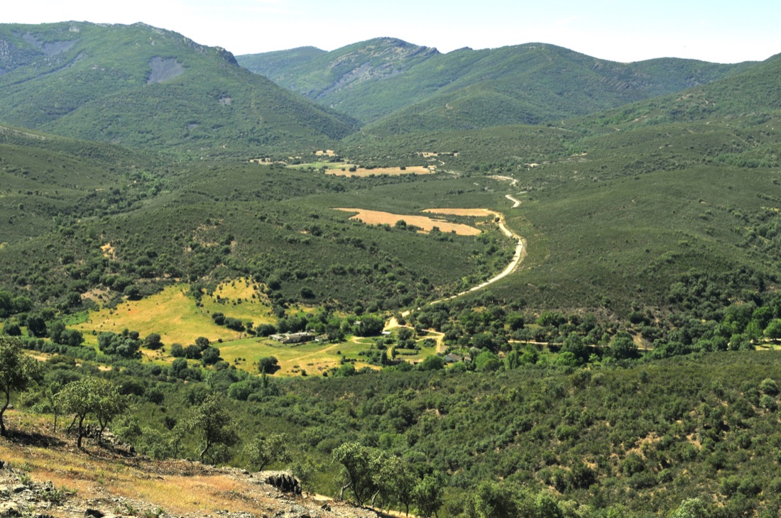 Montes de Toledo